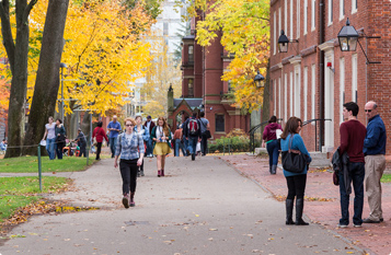 手机号轰炸服务